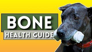 The COMPLETE Bone Health Guide for your Great Dane!