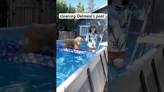 Can’t wait to do this all again tomorrow  #PoolCleaning #PoolTime #DogPool