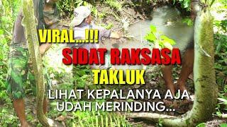 MANCING SIDAT RAKSASA | DI LUAR DUGAAN SIDAT SUPER BESAR TERANGKAT | EEL FISHING| BIG EEL | Dek doer