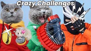 Relax Your Mind On This Weekend | Oscar‘s Funny World | New Funny Cat Videos 2023