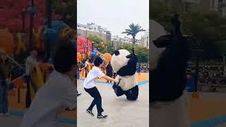 cute panda funny video status  #shorts #panda #cute #funny #video #tiktok #TikTokChina