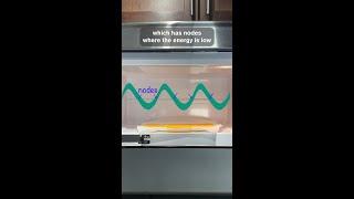 The Real Reason Microwaves Have a Spinning Tray ‍ | Everyday Awesome