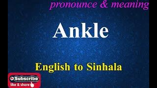 Ankle - Sinhala Meaning with Pronounce සිංහල තේරුම උච්ඡාරණය සමඟ | Dilfinity Dictionary