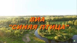 Вы Cлыхали Как Поют Дрозды | ВИА Синяя Птица | Солист Александр Дроздов | Official Video