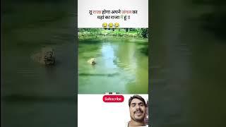 #funny #facts #nature #comedy #trending #lion #forest #king #water #love #song #viralvideo