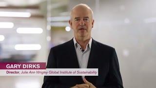 Sustainability Scientists and Scholars - Transcending Academic Disciplines