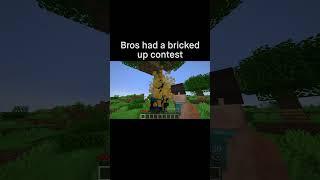 Minecraft Meme