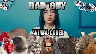 Billie Eilish - Bad Cat (Animal Cover) [Only_Animal_Sounds]