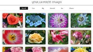 Filterable image gallery using HTML, CSS and Java script - Professional Web Design #1