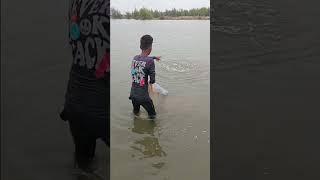 fishing #video #net #fish #video #shorts