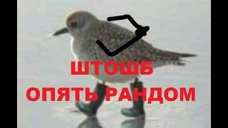 СТРИМ WoT ||| Рандомчик ||| Качаем 60TP ||| Ранговые баталии