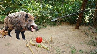 Creative Unique Wild Pig Trap Using Spade And Wood - Best Wild Pig Trap Using Spade