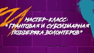 Мастер-класс: «Грантовая и субсидиарная поддержка волонтеров»