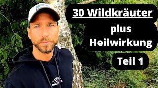 30 Wildkräuter + Heilwirkung Teil 1/3