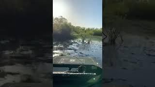 Sliding around carlyle lake #airranger#airboat#illinoisairboaters#Duckislandairboatservice