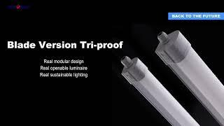 ERVAN blade tri-proof lighting, Modular design