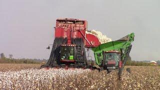 Case IH CPX620 Cotton Picker