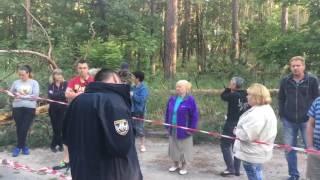 Правоохоронці встановлюють обставини стрілянини на Оболоні під час вирубки лісу (Оперативне відео)