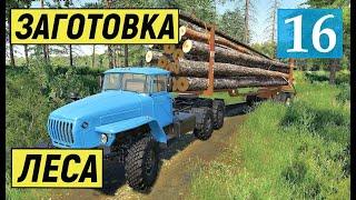 Farming Simulator 19 - Заготовка и Перевозка ЛЕСА, НОВЫЙ ТРАКТОР и МАШИНЫ - Фермер в совхозе РАССВЕТ