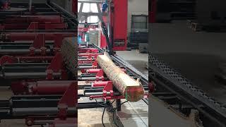 StrojCAD  DKP6 Circular Sawmill - Laser visualization of the cut on the log