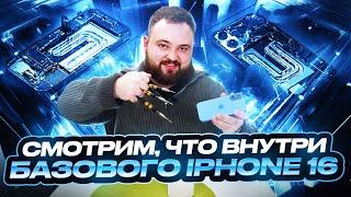 Смотрим, что внутри базового iPhone 16