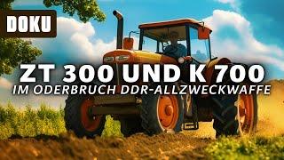 ZT 300 und K 700 im Oderbruch DDR-Allzweckwaffe (DDR-Allzweckwaffe,TRAKTOREN, Brandenburg)