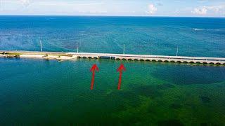 1st Time Fishing This Florida Keys Bridge, Using Live Bait To Catch Fish