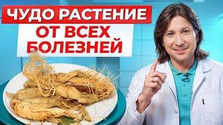 Эти ТРАВЫ заменят вам ВСЕ лекарства! Как УКРЕПИТЬ здоровье с помощью ТРАВ?