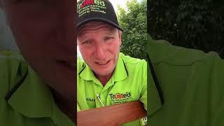 Important of termite inspection & concrete slab edge.