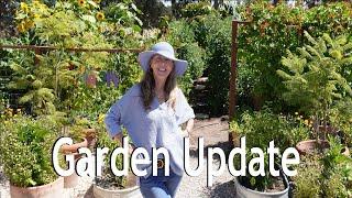 Decorating with VEGETABLES Part 2!  Cottage Garden's  Vegetable Display Garden After 2 Months!