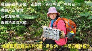 [姨婆趴趴走]第100集 :桃園復興高遶溪古圳步道、谷倉角、新柑坪山、牛背岩環狀縱走/高遶天空吊橋/石秀灣秘境/谷倉角灌溉水道/桃園登山步道/桃園山岳/台灣景點/