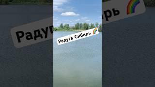 Заблуева Новосибирск Радуга Сибирь