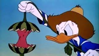 ᴴᴰ Pato Donald y Chip y Dale dibujos animados - Pluto, Mickey Mouse Episodios Completos Nuevo 2018