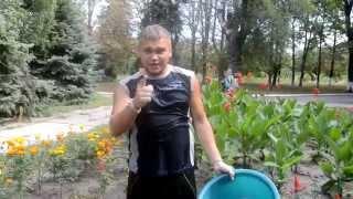 8 КОЛОНН: Ice Bucket Challenge DIIT (Винниченко Роман)