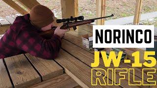 Norinco JW-15 22 Rifle | Shooting & Accuracy JW15 22lr