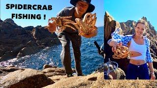SPIDER CRAB FISHING With My Girlfriend! Fun Day On The Rocks