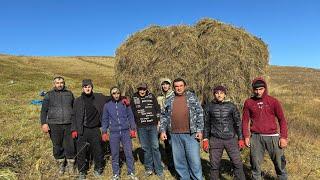 Погрузка сена Магомеду Биларову. 12.10.2024 год