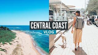 Central Coast Day Trip [Central Coast Vlog] Terrigal Beach and North Shelly Beach Dog Beach