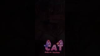 Day 80 : mori kei ll Gacha club ll #shorts