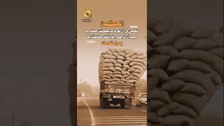 الحكمة في اتخاذ القرارات الصحيحة ️ #قوة_الإرادة