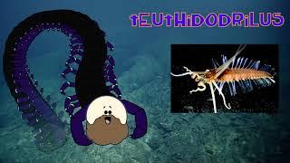 Squid Worms : Teuthidodrilus