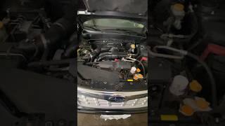 Subaru Engine / Rod Knock Vs Piston Slap