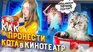 КАК ПРОНЕСТИ КОТА КЕВИНА В КИНОТЕАТР? 5 СПОСОБОВ