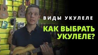 Как выбрать укулеле? Виды укулеле? Какую лучше взять?