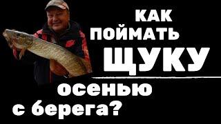 Поймать много щуки с берега на спиннинг осенью. Какие точки, приманки и проводки использовать?