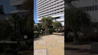 Обзор отеля Гранд Жемчужина 4* в Сочи. Хорошая четвёрка. Рекомендую