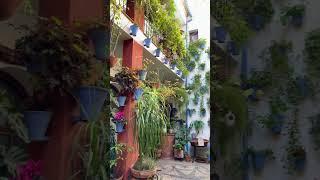 Beautiful Cordoba Patios with Colourful Flowers