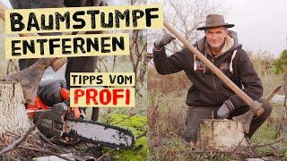 Baumstumpf richtig entfernen - Profitipps für deinen Garten! Verschiedene Methoden erklärt.