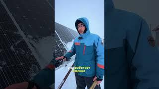 Наш солнечный парк состоит из нескольких десятков  панелей. #животноводство #ферма #солнечныйпанель