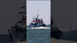 The first mate of the trawler "Parusnik" went missing in the Baltic Sea #shorts